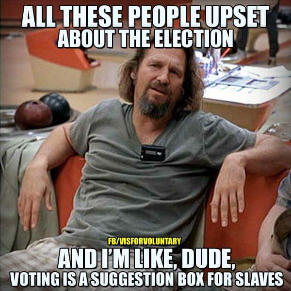 voting is an suggestion box for slaves